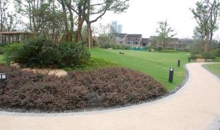 无锡金域蓝湾 无锡金域蓝湾